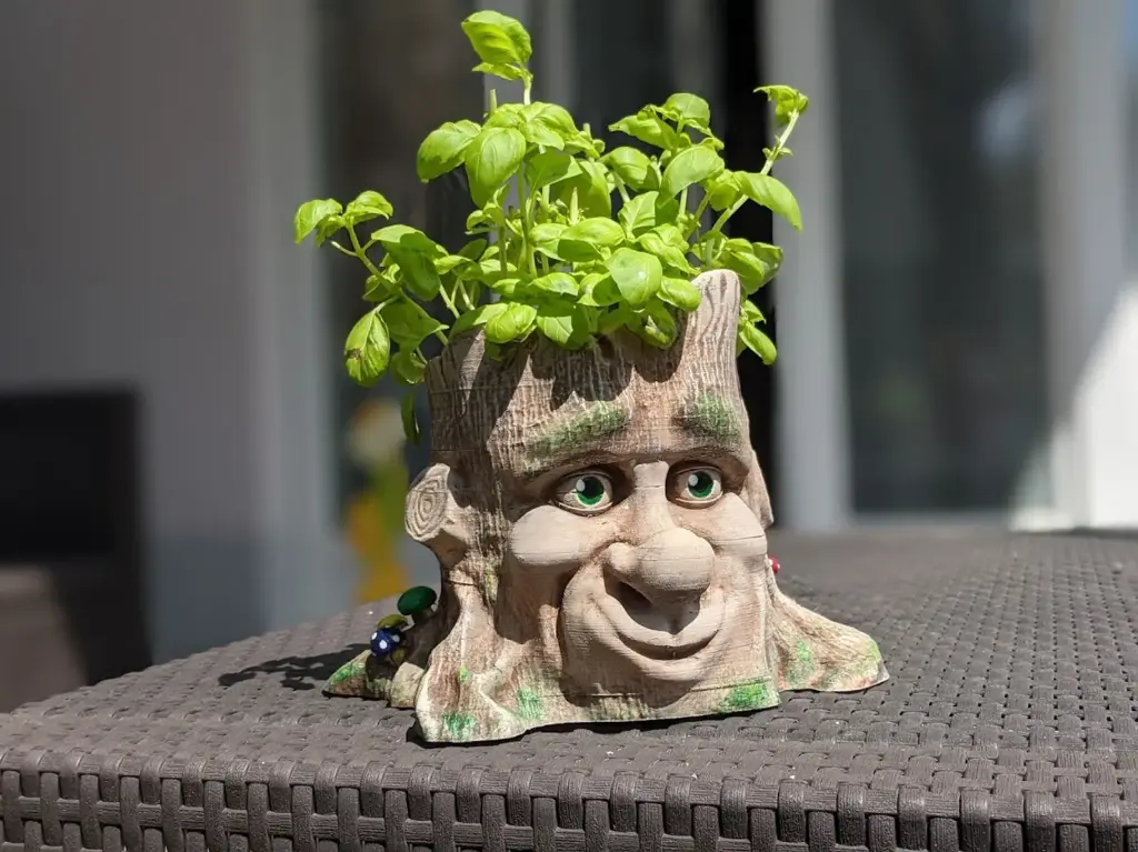 Cartoon-Style Tree Face Planter 