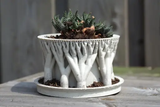 [Tree support planter pot] مزهرية ديكورية