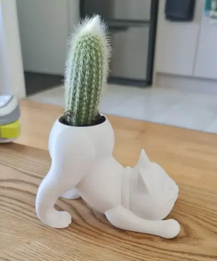 [Cat Cactus Pot] Cat Cactus Pot